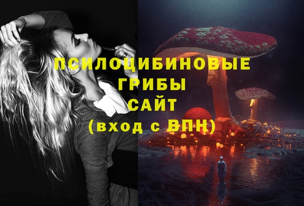 дживик Аркадак